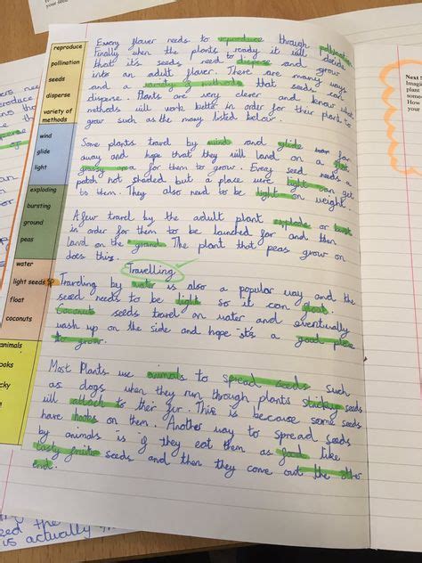 Afbeeldingsresultaten voor Year 6 Writing Examples