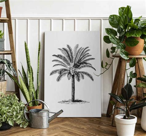 Image result for Palm Tree Canvas Stickers