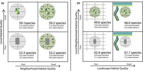 Image result for Pollinator Migration Patterns