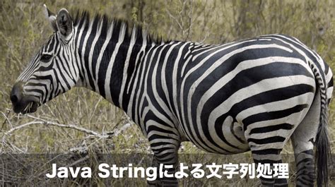String Printen に対する画像結果