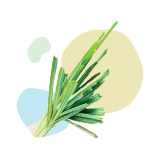 Toradh íomhá ar Un Code Java Bien Fait