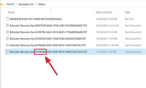 Toradh íomhá ar What Is BitLocker Windows 11