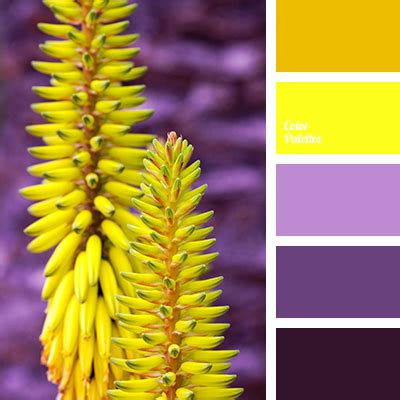 violet and yellow | Color Palette Ideas for Your Inspiration