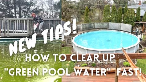 Image result for How to Clear a Green Pool Fast