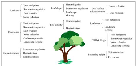 Image result for Tree Slection