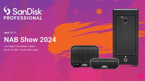 Image result for SanDisk Professional