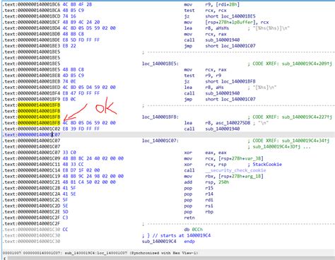 Fatal Error Disassembler に対する画像結果