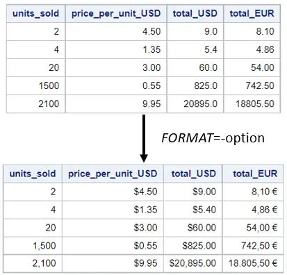 Toradh íomhá ar SAS Format Statement Example