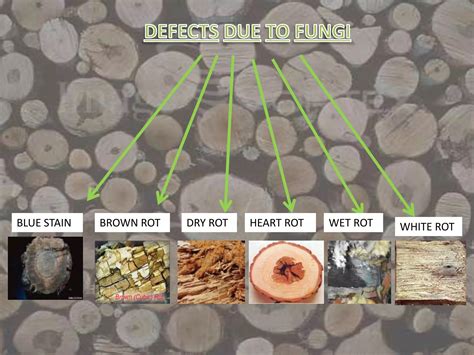 Image result for Natural Timber Defects