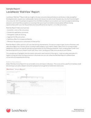 LexisNexis Report Example に対する画像結果