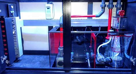 Image result for Reef Tank Sump Plumbing