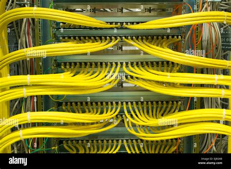 Image result for Lan Patch Panel