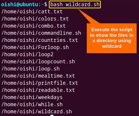 Image result for Linux Bash File Extention