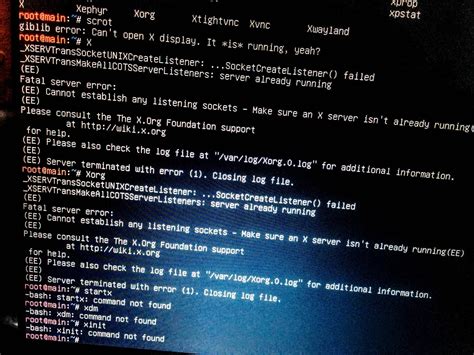 Toradh íomhá ar CLI Linux