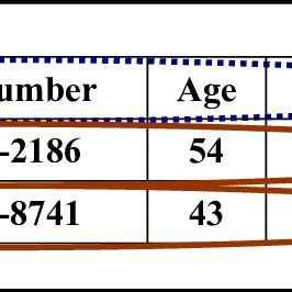 Image result for Simple DataTable Example