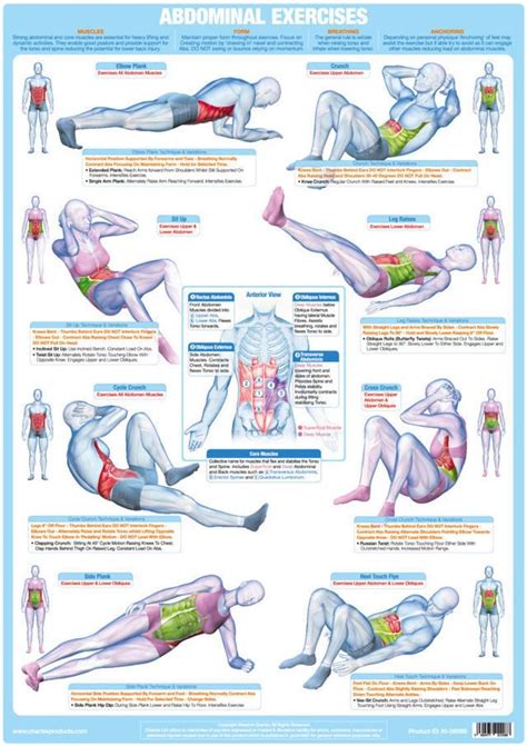Image result for Core Muscle Workout