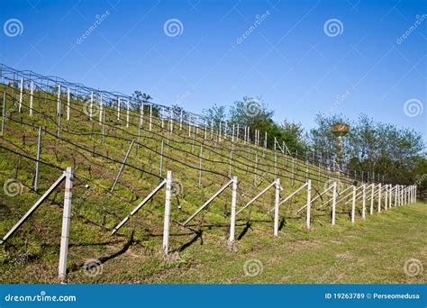 Image result for Edge Impulse Vineyard Irrigation