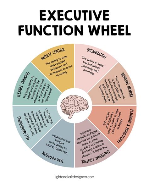Image result for Executive Function Examples