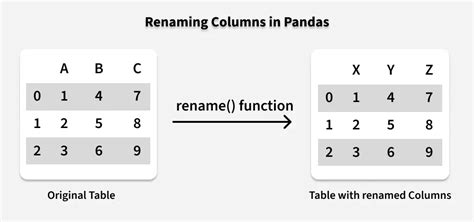 Toradh íomhá ar Renaming Columns in Python