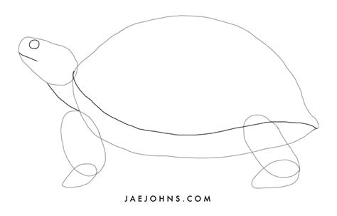 Image result for Turtle Draw Fast