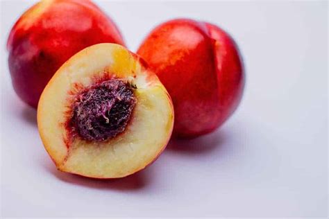 Image result for Types of Necterines