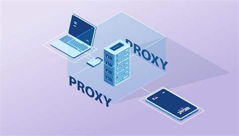 Image result for Proxy Informatica EIP