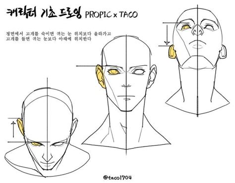 Image result for Tilted Head Reference