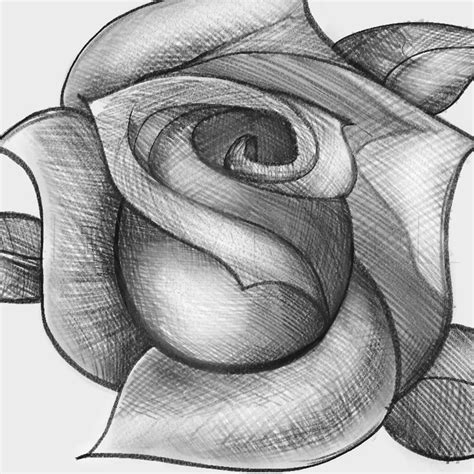 Image result for Basic Draw Rose