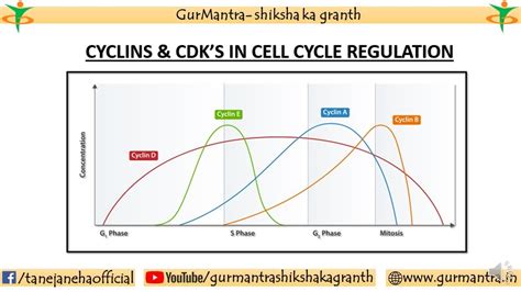 Image result for Call Cycle Graph