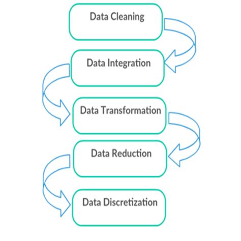 Steps for Data Preprocessing に対する画像結果