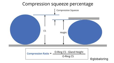 Image result for Compression Expansion Model