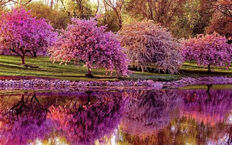 Image result for Beautiful Spring Desktop