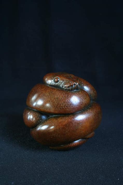 Image result for Ball Python Engraving