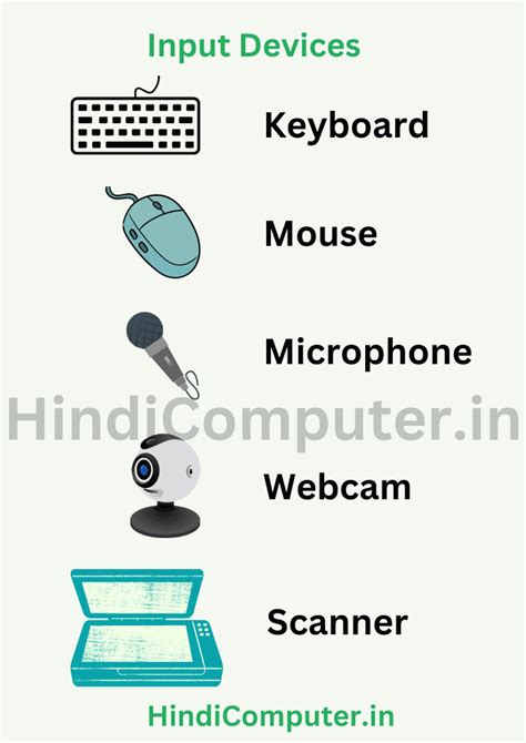 Image result for Input Device Mouse of Computer Chart