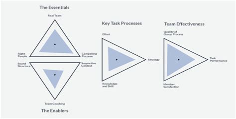 Hackman Model of Team Effectiveness に対する画像結果