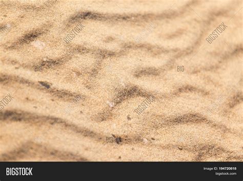 Image result for What Does It Look Like Under Sand