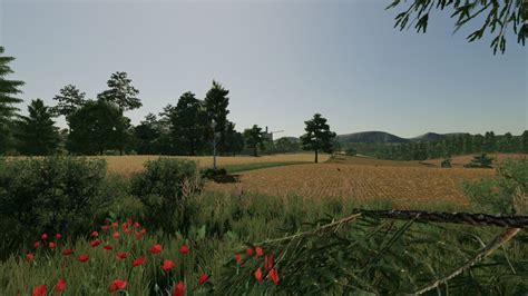 FS22 Seizure に対する画像結果