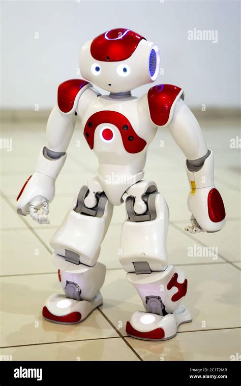 Image result for Programmable Robotics