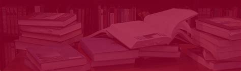 Calculus Graphics に対する画像結果