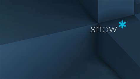 Image result for Snow Software Transparent Logo