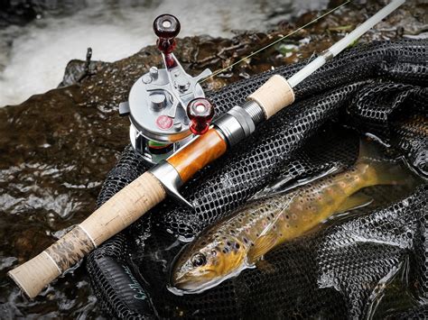 Toradh íomhá ar BFS System