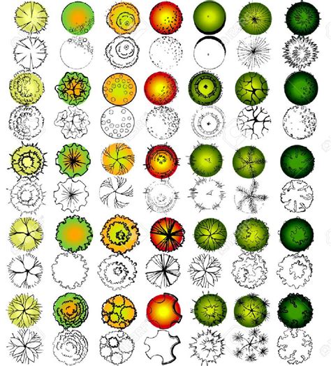 Image result for Tree Symbol Landscape Drawing