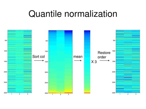 Image result for Total Intensity Normalization