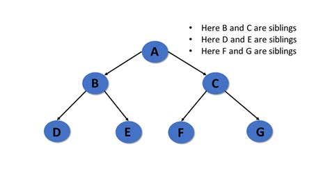 Image result for Tree Terminology Data Structure