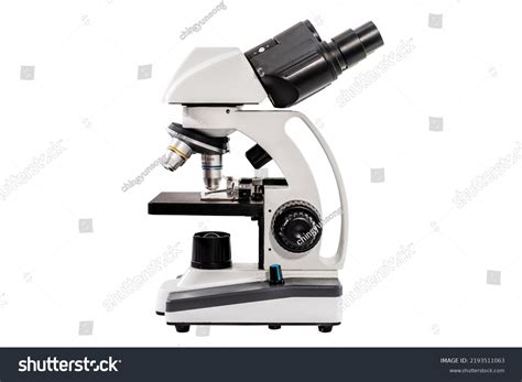 Image result for Microscope Side of Paper