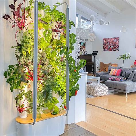 Image result for Best Hydroponic Systems for Home Use