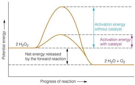 Image result for Activation Energy Example GIF