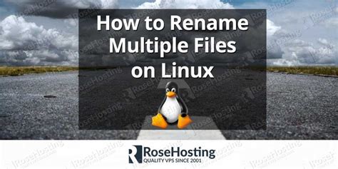 Image result for Rename Multiple Files in Unix