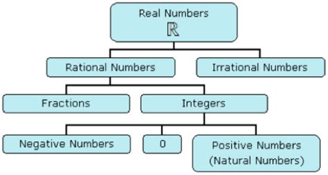 Image result for Organizing the Real Numbers