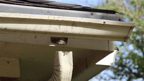 Image result for Recirculation Gutter